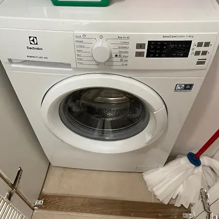 Oxana - 3 - Temesvár