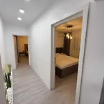 Apartment Oxana - 3 - Timisoara